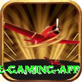 Cricket Betting Pakistan Elite Gaming App